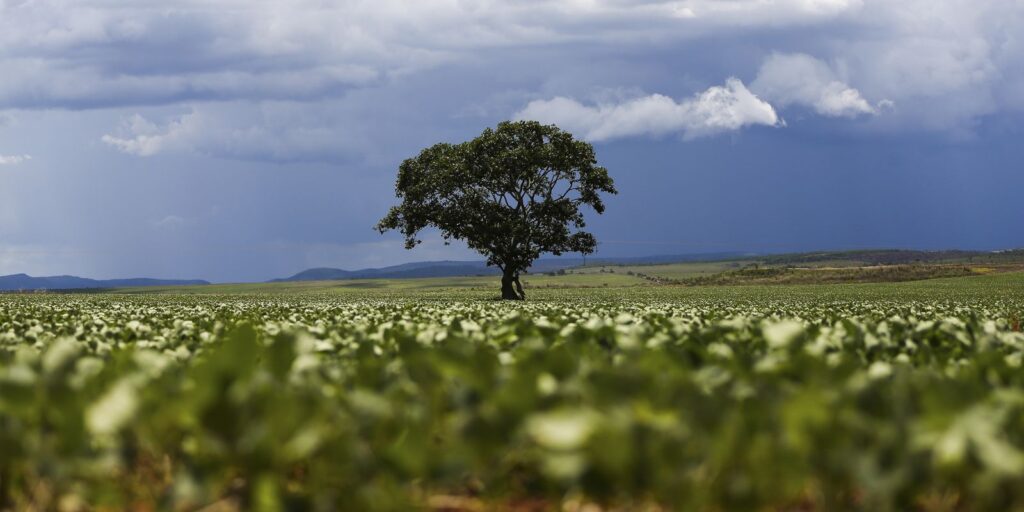 Tempestades e granizo atingem Rio Grande do Sul