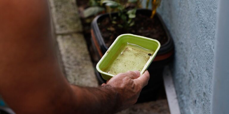 El Niño pode aumentar casos de chikungunya e dengue no Brasil 5 El Niño pode aumentar casos de chikungunya e dengue no Brasil