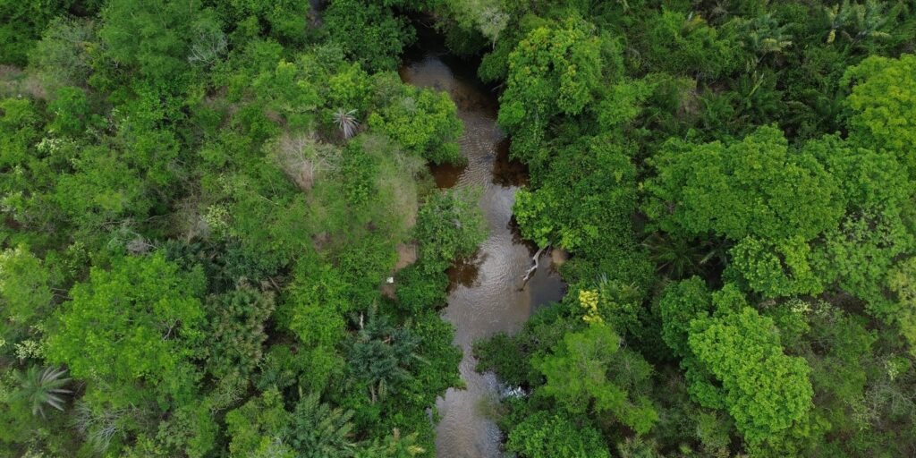 Área queimada no Brasil fica 31% abaixo da média histórica em