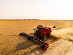 Colheitadeira vermelha colhendo trigo em um vasto campo dourado.