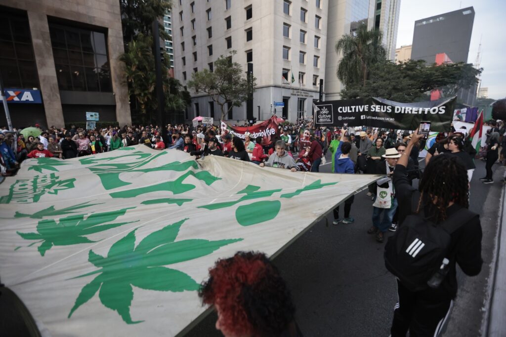 Manifestantes seguram uma grande bandeira branca com folhas de maconha verdes na Avenida Paulista, com a faixa "CULTIVE SEUS DIREITOS" ao fundo.