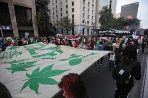 Manifestantes seguram uma grande bandeira branca com folhas de maconha verdes na Avenida Paulista, com a faixa "CULTIVE SEUS DIREITOS" ao fundo.