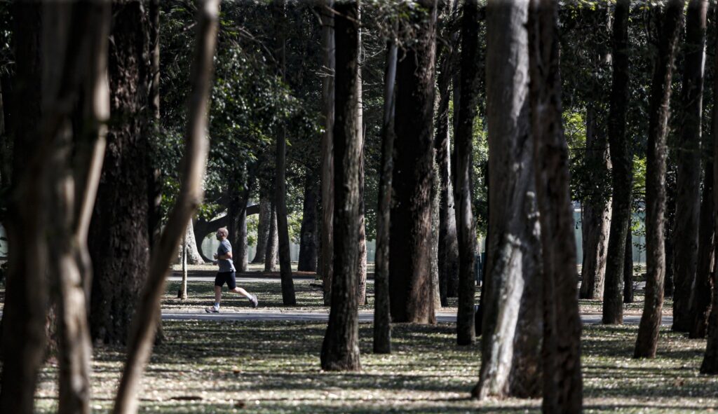 Homem correndo em uma pista pavimentada cercada por árvores em um parque.