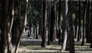 Homem correndo em uma pista pavimentada cercada por árvores em um parque.