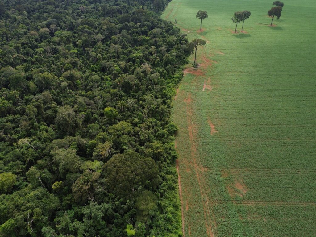 Amazônia: vista aérea do limite entre a densa floresta e uma vasta plantação agrícola verde.