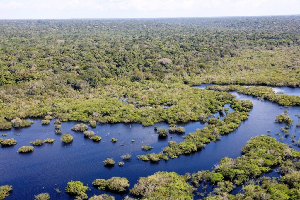 mudanças climáticas: Vista aérea da floresta amazônica margeada por um rio de águas escuras.