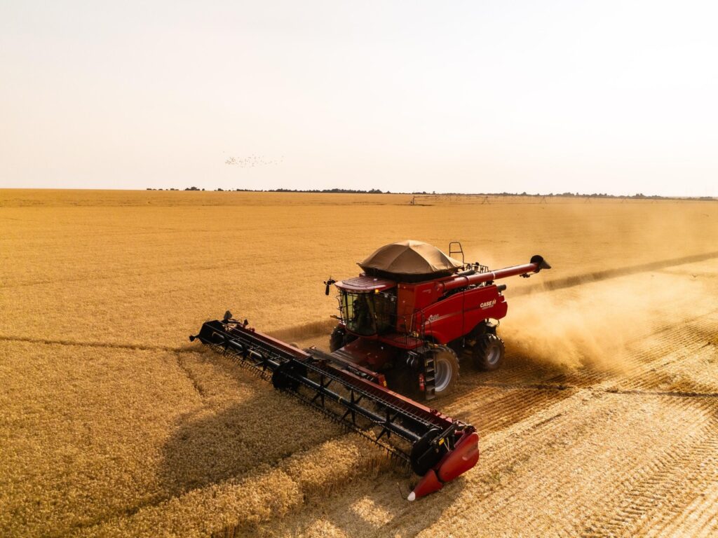 Exportações brasileiras: Colheitadeira vermelha colhendo trigo em um vasto campo dourado.